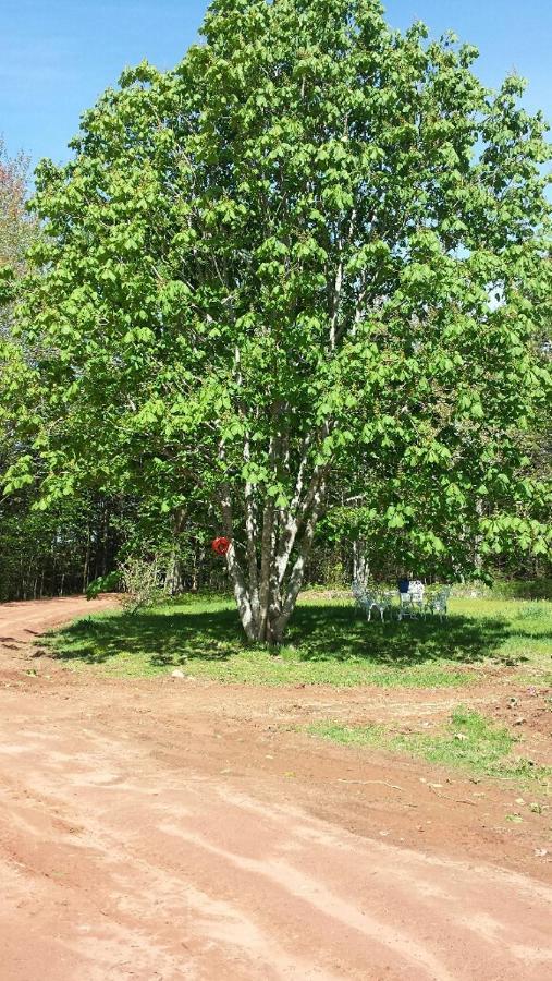 Chestnut Lane Bed And Breakfast Hunter River Екстер'єр фото